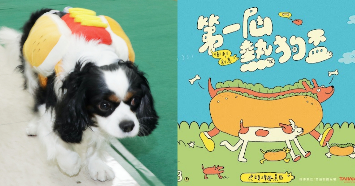 汪汪衝刺！台南舉辦第一屆「熱狗盃」狗狗賽跑