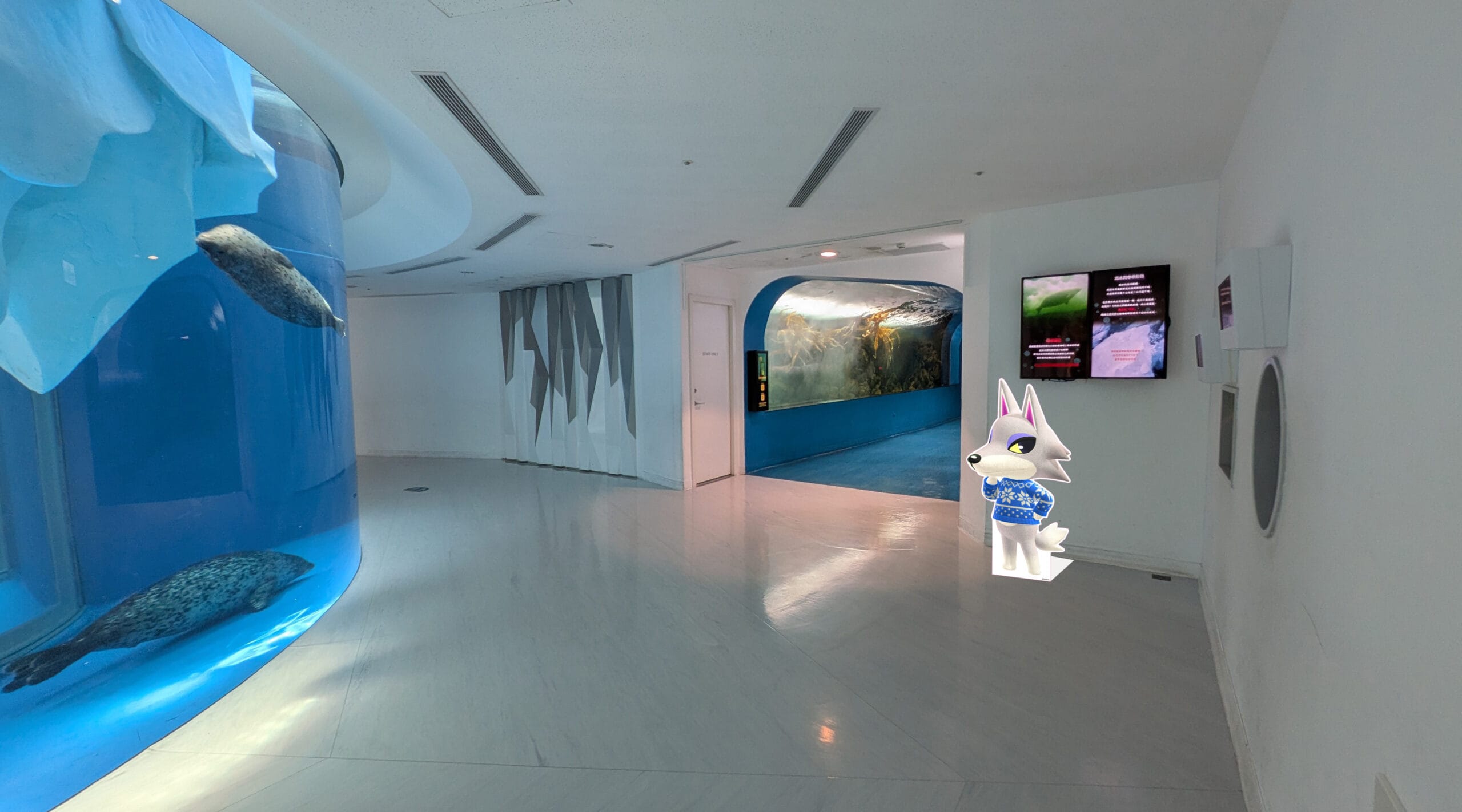 島民必朝聖！任天堂×Xpark「動森海洋生物展」首度登台