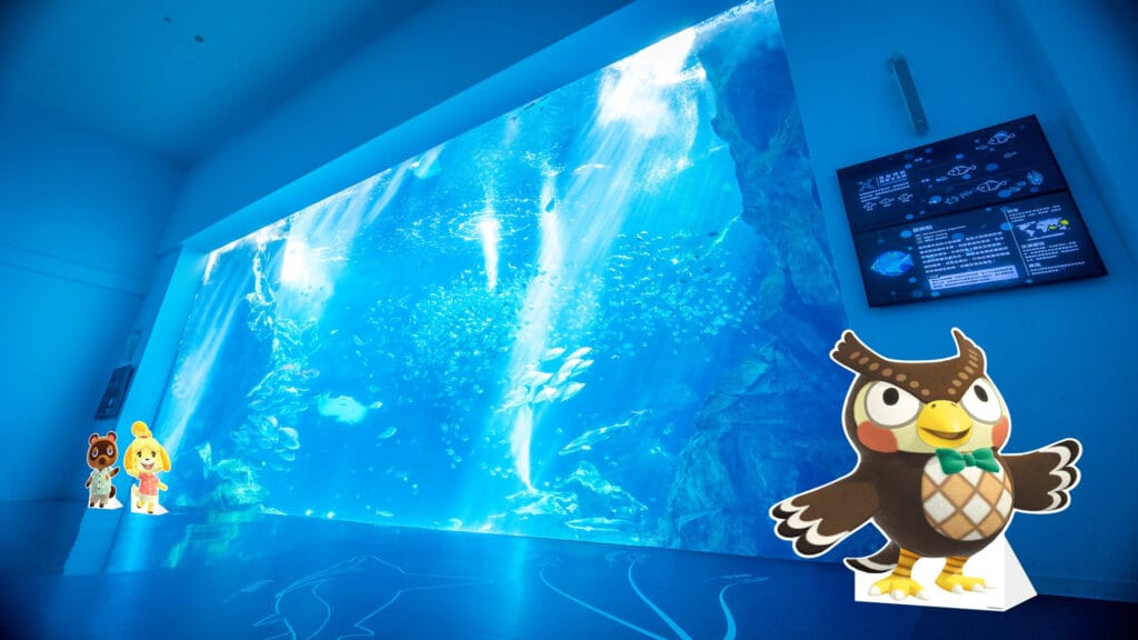 島民必朝聖！任天堂×Xpark「動森海洋生物展」首度登台